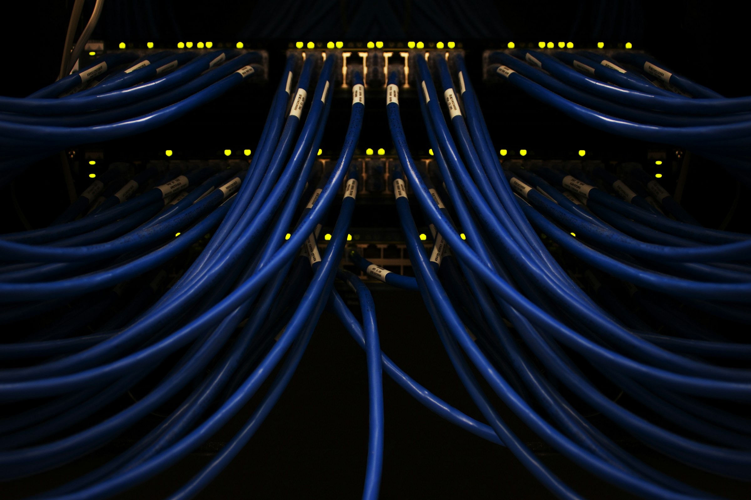 Close-up of fiber optic cables emitting blue light
